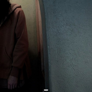 伸进内裤揉到高潮嗯啊视频公交车
