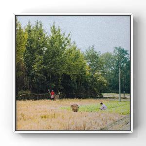 伸进内裤揉到高潮嗯啊视频公交车
